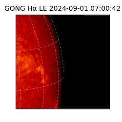 gong - 2024-09-01T07:00:42