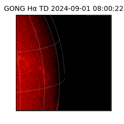 gong - 2024-09-01T08:00:22