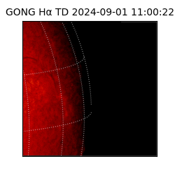 gong - 2024-09-01T11:00:22