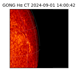 gong - 2024-09-01T14:00:42