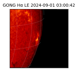 gong - 2024-09-01T03:00:42