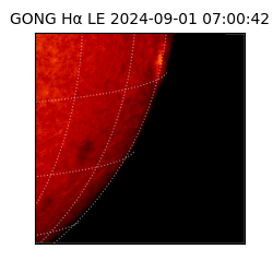 gong - 2024-09-01T07:00:42