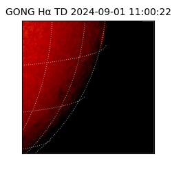 gong - 2024-09-01T11:00:22