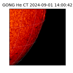 gong - 2024-09-01T14:00:42