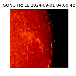 gong - 2024-09-01T04:00:42