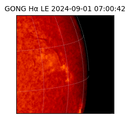 gong - 2024-09-01T07:00:42