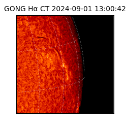gong - 2024-09-01T13:00:42