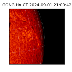 gong - 2024-09-01T21:00:42