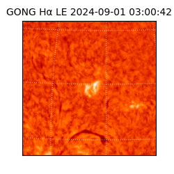 gong - 2024-09-01T03:00:42