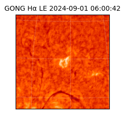 gong - 2024-09-01T06:00:42