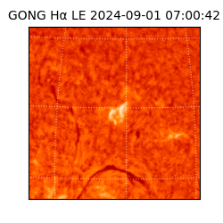 gong - 2024-09-01T07:00:42