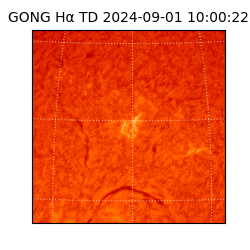 gong - 2024-09-01T10:00:22