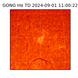 gong - 2024-09-01T11:00:22