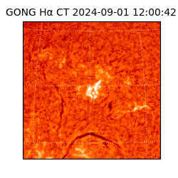 gong - 2024-09-01T12:00:42