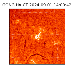 gong - 2024-09-01T14:00:42