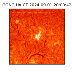gong - 2024-09-01T20:00:42