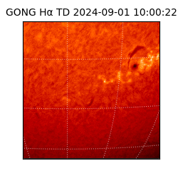 gong - 2024-09-01T10:00:22