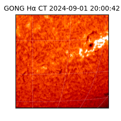 gong - 2024-09-01T20:00:42