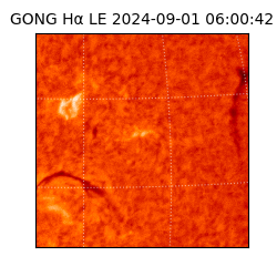 gong - 2024-09-01T06:00:42