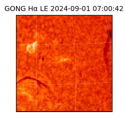 gong - 2024-09-01T07:00:42