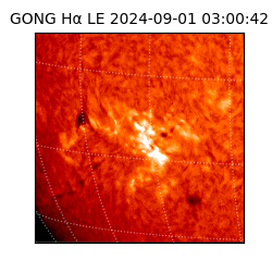 gong - 2024-09-01T03:00:42