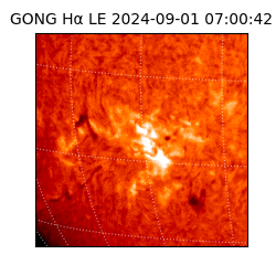 gong - 2024-09-01T07:00:42