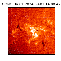 gong - 2024-09-01T14:00:42