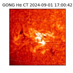 gong - 2024-09-01T17:00:42