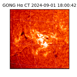 gong - 2024-09-01T18:00:42