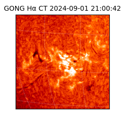 gong - 2024-09-01T21:00:42