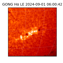 gong - 2024-09-01T06:00:42