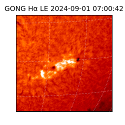 gong - 2024-09-01T07:00:42