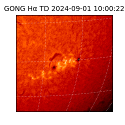 gong - 2024-09-01T10:00:22