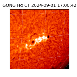 gong - 2024-09-01T17:00:42