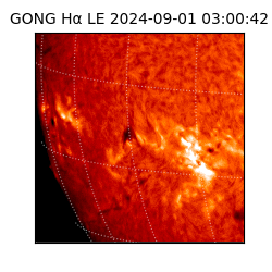 gong - 2024-09-01T03:00:42