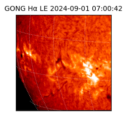 gong - 2024-09-01T07:00:42