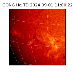 gong - 2024-09-01T11:00:22
