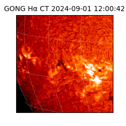 gong - 2024-09-01T12:00:42