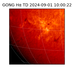 gong - 2024-09-01T10:00:22