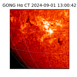 gong - 2024-09-01T13:00:42