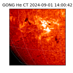 gong - 2024-09-01T14:00:42