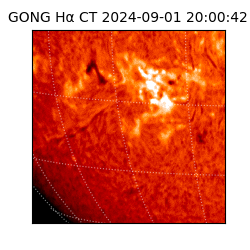 gong - 2024-09-01T20:00:42