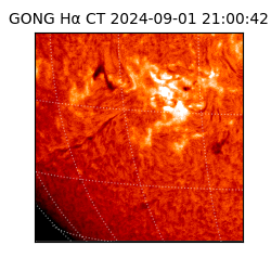 gong - 2024-09-01T21:00:42