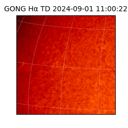 gong - 2024-09-01T11:00:22