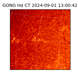 gong - 2024-09-01T13:00:42