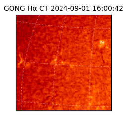 gong - 2024-09-01T16:00:42