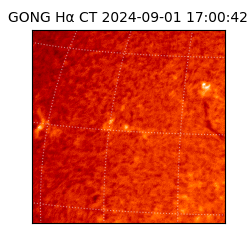 gong - 2024-09-01T17:00:42