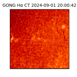 gong - 2024-09-01T20:00:42