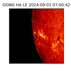 gong - 2024-09-01T07:00:42