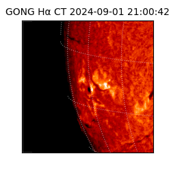 gong - 2024-09-01T21:00:42